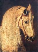 Piotr Michalowski Studium of Horse Head painting